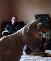 Moby is a sphynx. There's another one too.